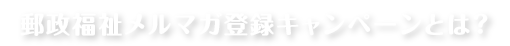 郵政福祉メルマガ登録キャンペーンとは？